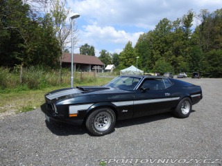 Ford Mustang Mach1 Fastback Cobra Jet 1973