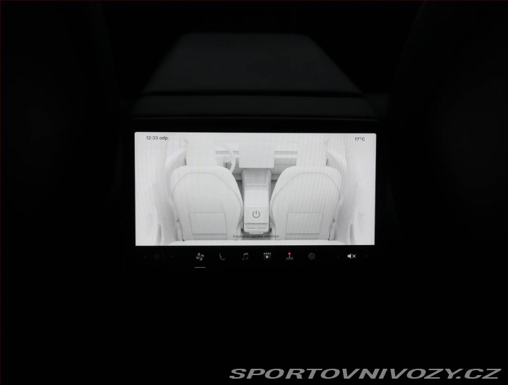 Tesla Model 3 Standard Range LFP, SoH 9 2024