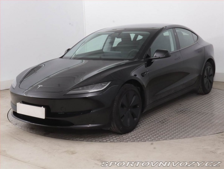 Tesla Model 3 Standard Range LFP, SoH 9 2024