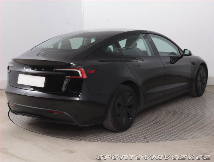 Tesla Model 3 Standard Range LFP, SoH 9 2024