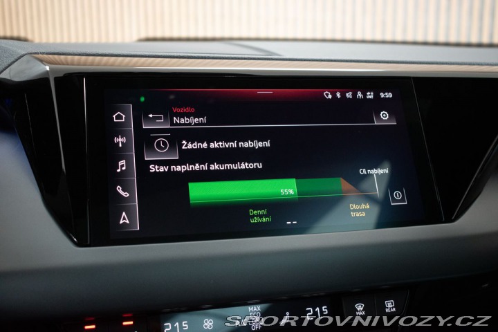 Audi Ostatní modely 93kWh QUATTRO*B&O*AIR 2022