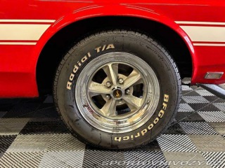 Ford Mustang Shelby GT500 Fastback 1970