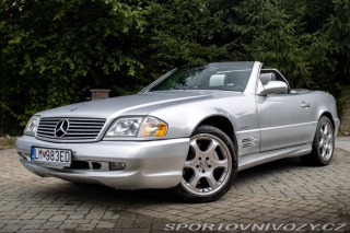 Mercedes-Benz SL 500 R129 Silver Arrow /