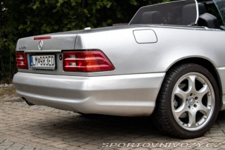 Mercedes-Benz SL 500 R129 Silver Arrow / 2002