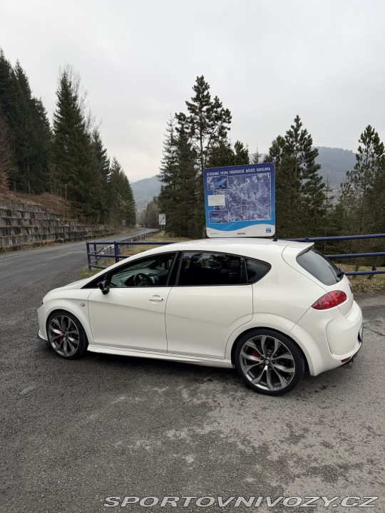 Seat Leon Streetcopa 2008