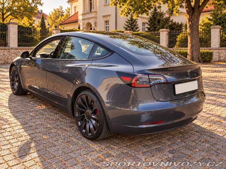 Tesla Model 3 Performance FSD 2023
