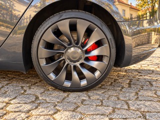 Tesla Model 3 Performance FSD 2023