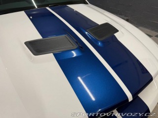 Ford Mustang Shelby GT500 2007