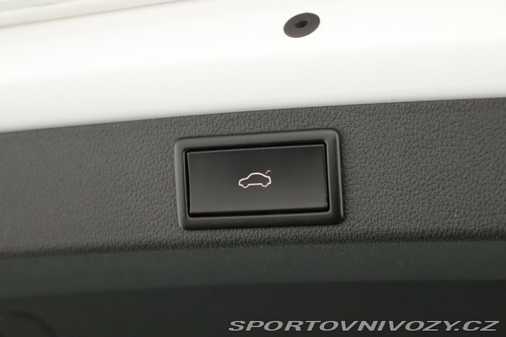 Škoda Octavia RS RS RS 2.0 TSI 2019