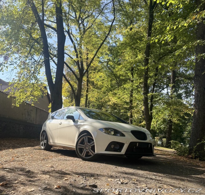Seat Leon 1P Cupra 2007