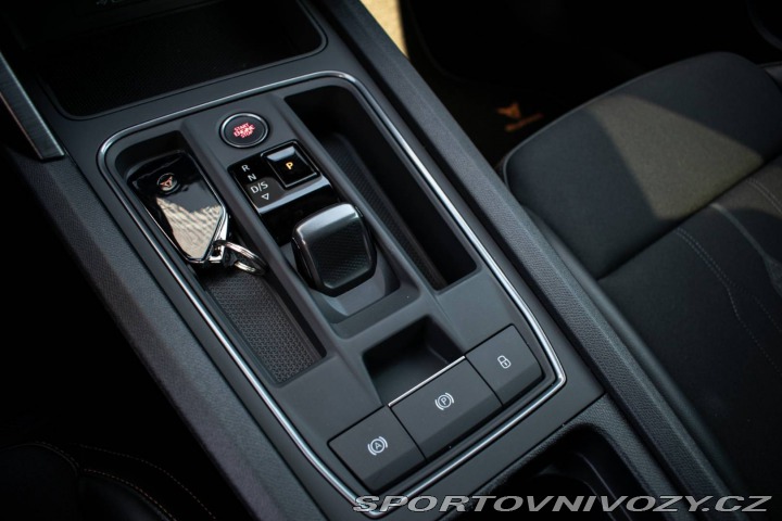 Cupra Formentor 2.0 TDI 4Drive DSG / 110 2023