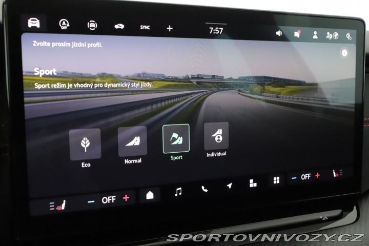 Škoda Octavia RS RS RS 2.0 TSI 2025