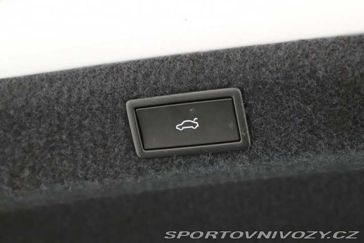 Škoda Octavia RS RS RS 2.0 TSI 2025