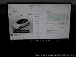 Tesla Model 3 Standard Range LFP, SoH 9 2023