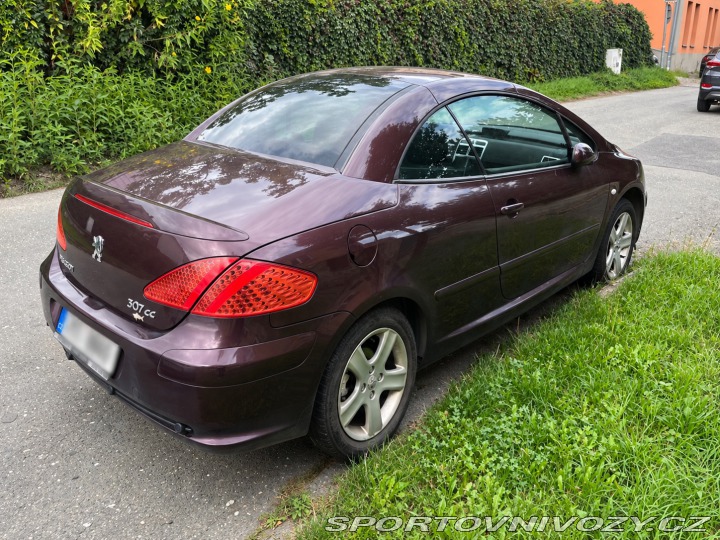 Peugeot 307 CC 2004