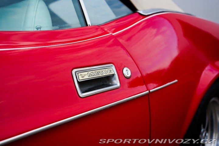 Ford Mustang  1971