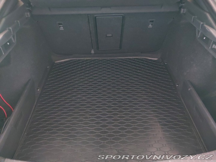 Škoda Octavia RS RS RS 2.0 TSI 2023