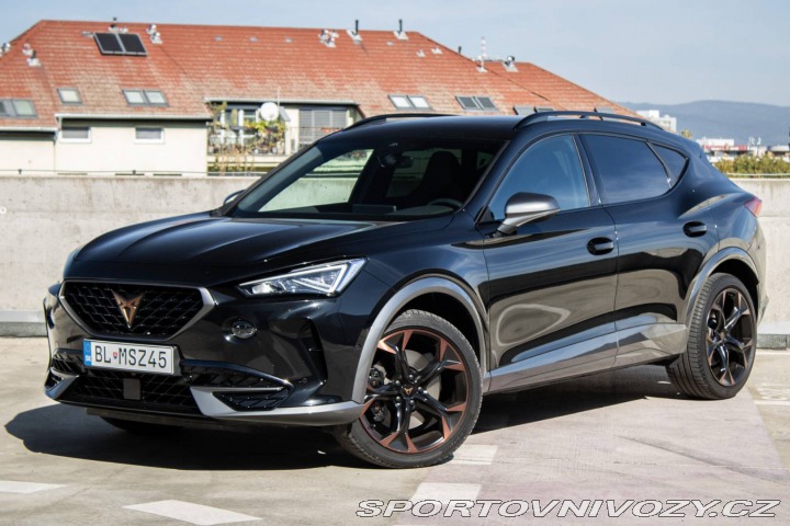 Cupra Formentor 2.0 TSI 310k 4Drive AT/7 2024