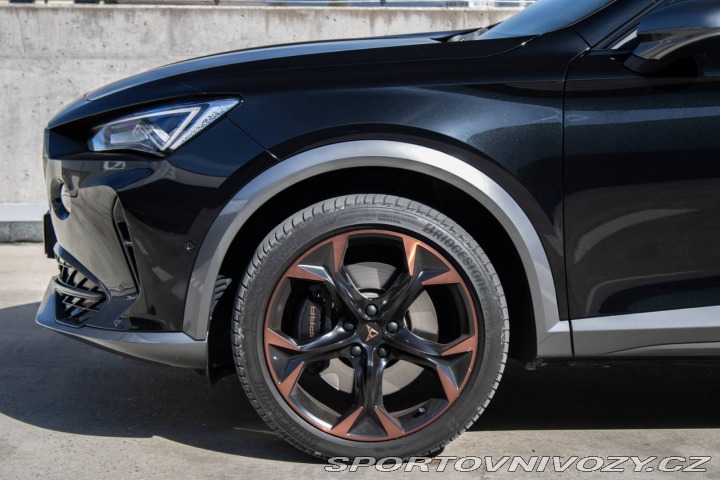 Cupra Formentor 2.0 TSI 310k 4Drive AT/7 2024