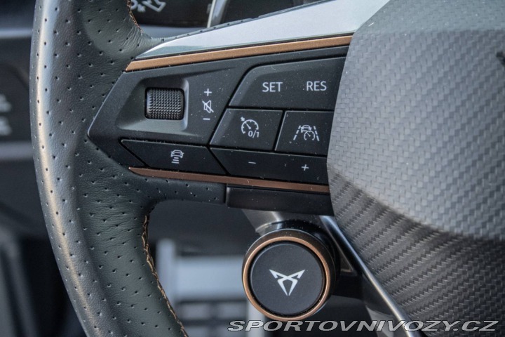 Cupra Formentor 2.0 TSI 310k 4Drive AT/7 2024