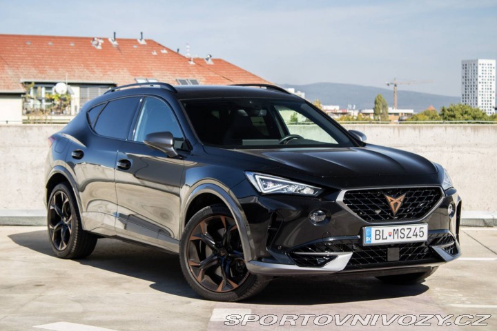Cupra Formentor 2.0 TSI 310k 4Drive AT/7 2024