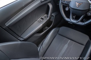 Cupra Formentor 2.0 TSI 310k 4Drive AT/7 2024