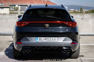 Cupra Formentor 2.0 TSI 310k 4Drive AT/7 2024