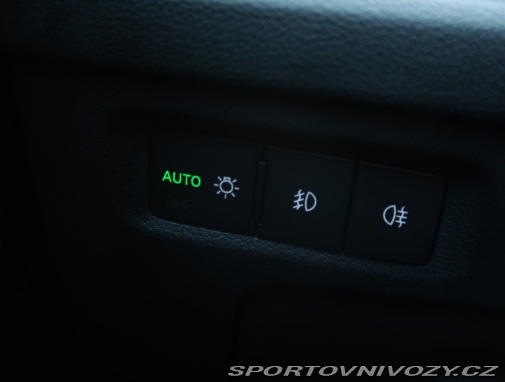Škoda Octavia RS RS RS 2.0 TSI 2023
