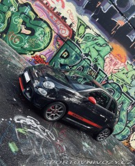 Abarth 595  2019