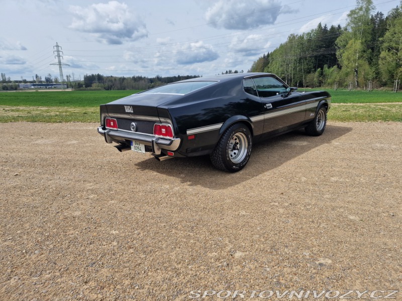 Ford Mustang Mach1 Fastback Cobra Jet