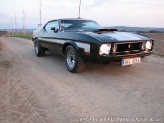 Ford Mustang Mach1 Fastback Cobra Jet 1973
