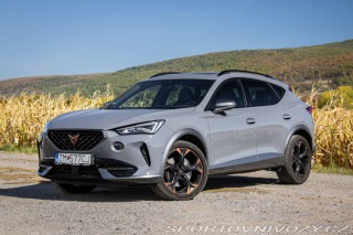 Cupra Formentor 2.0 TSI 310k 4Drive DSG,