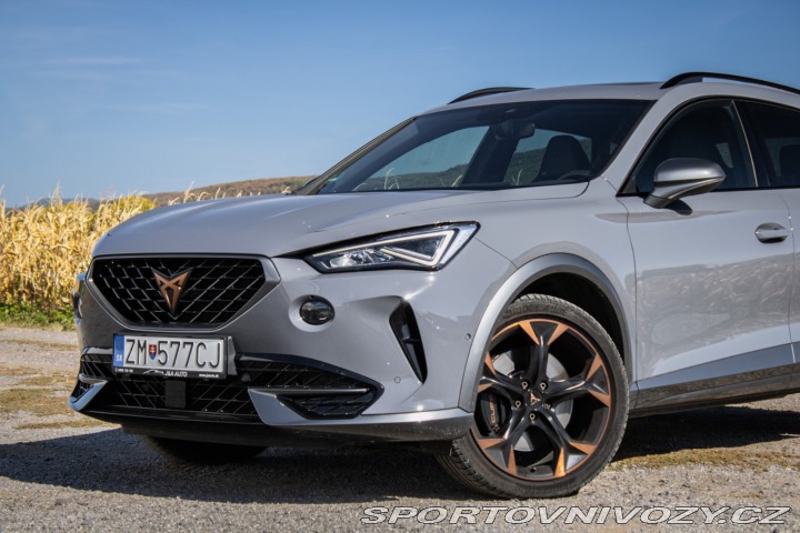 Cupra Formentor 2.0 TSI 310k 4Drive DSG, 2022