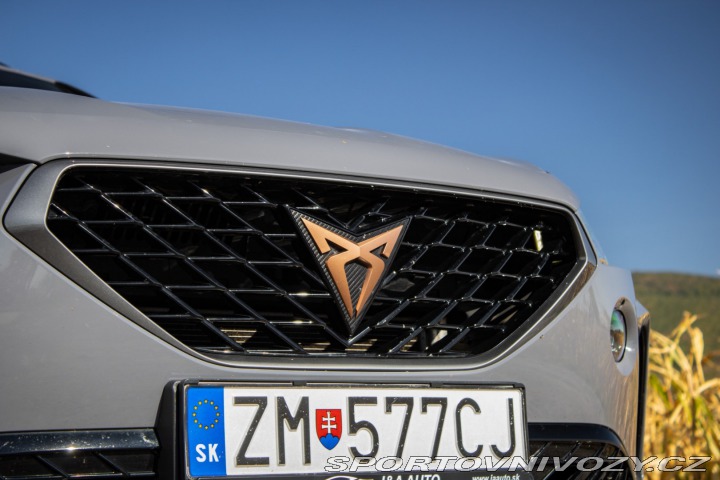 Cupra Formentor 2.0 TSI 310k 4Drive DSG, 2022