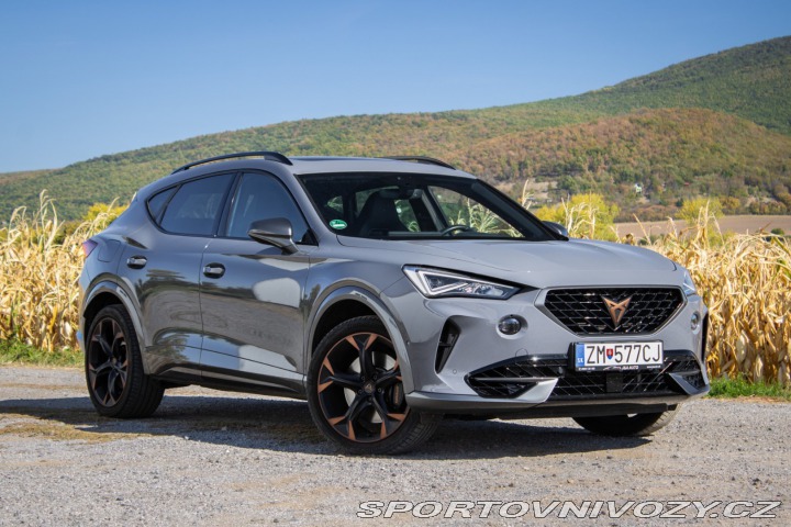 Cupra Formentor 2.0 TSI 310k 4Drive DSG, 2022
