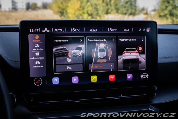 Cupra Formentor 2.0 TSI 310k 4Drive DSG, 2022