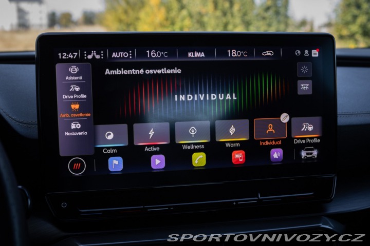 Cupra Formentor 2.0 TSI 310k 4Drive DSG, 2022