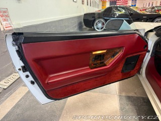 Chevrolet Corvette C4 Cross-Fire 1984