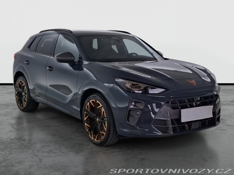 Cupra Terramar 2.0 TSI 4Drive