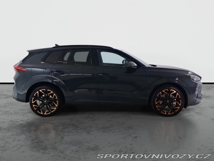 Cupra Terramar 2.0 TSI 4Drive 2025