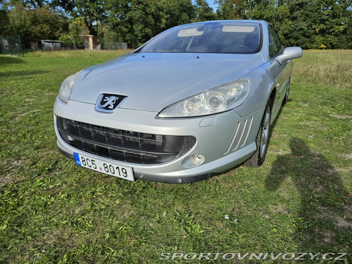 Peugeot 407 Coupé 2007