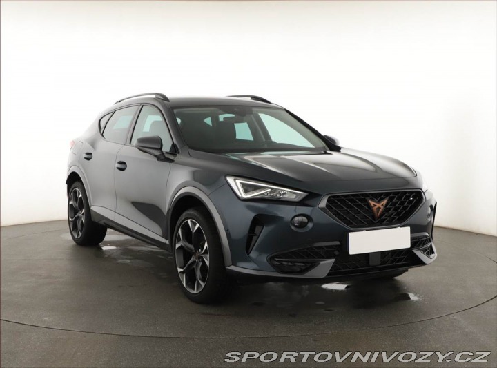 Cupra Formentor Performance 2.0 TSI 4Driv 2024
