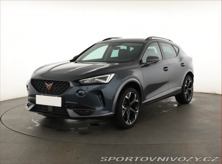Cupra Formentor Performance 2.0 TSI 4Driv 2024
