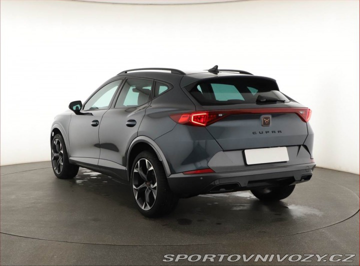 Cupra Formentor Performance 2.0 TSI 4Driv 2024