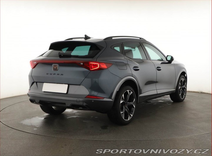 Cupra Formentor Performance 2.0 TSI 4Driv 2024