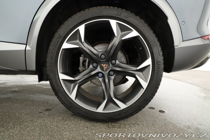 Cupra Formentor Performance 2.0 TSI 4Driv 2024