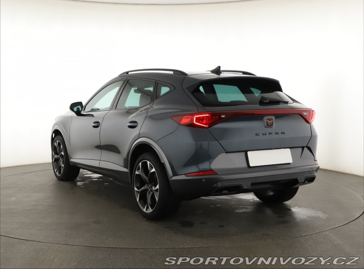 Cupra Formentor Performance 2.0 TSI 4Driv 2024
