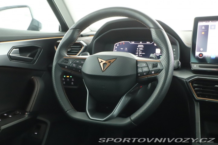 Cupra Formentor Performance 2.0 TSI 4Driv 2024