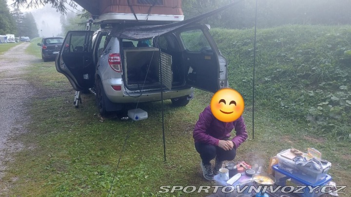 Toyota Ostatní modely RAV4 2,2   2009 2009