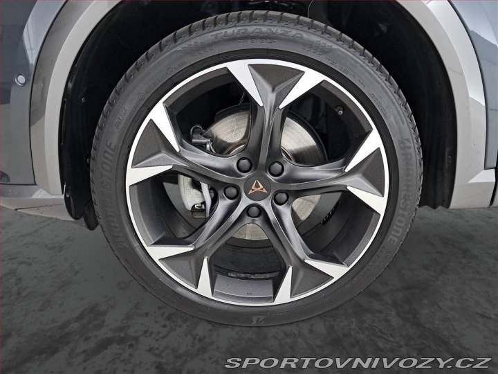Cupra Formentor 2.0 TSI 4Drive 2024